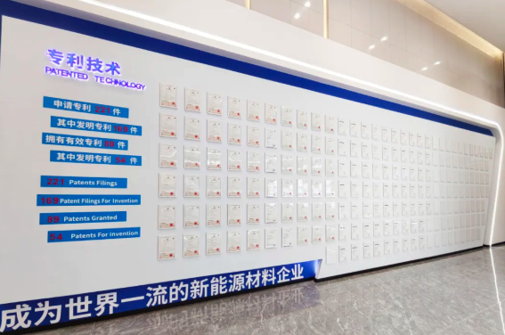 岁序常易 华章日新—2024蓝固新能源年终盘点
